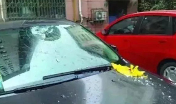 常德市康都物業(yè)服務(wù)有限公司,常德保安服務(wù)公司,保潔服務(wù),綠化服務(wù),搬運(yùn)服務(wù),墻外高空清洗服務(wù)