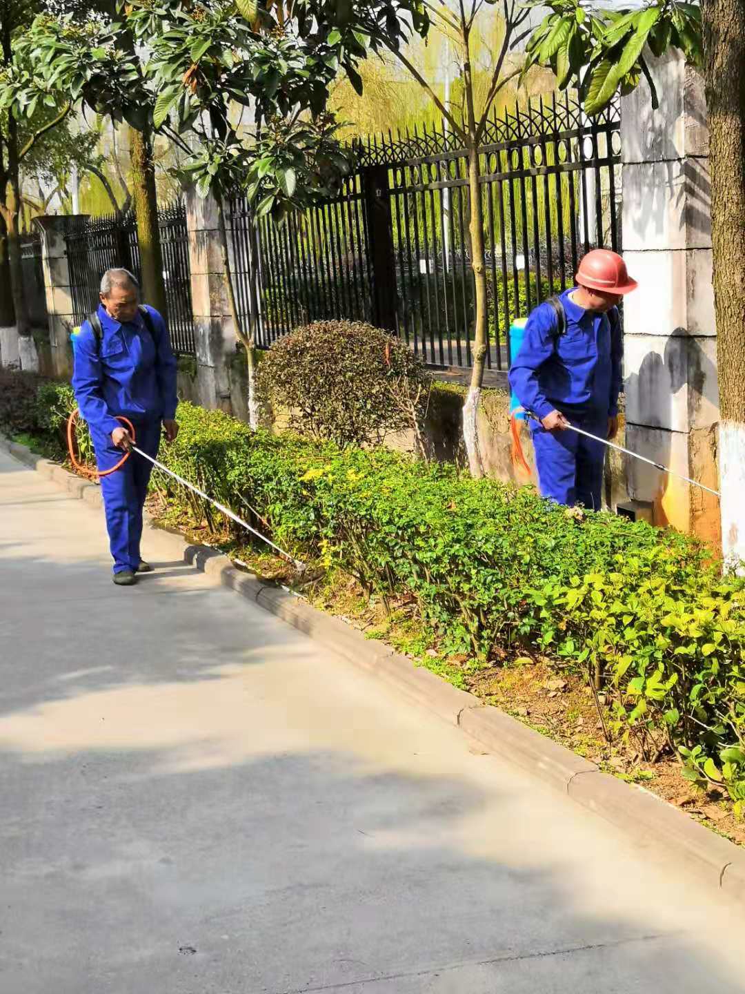 常德市康都物業(yè)服務(wù)有限公司,常德保安服務(wù)公司,保潔服務(wù),綠化服務(wù),搬運(yùn)服務(wù),墻外高空清洗服務(wù)